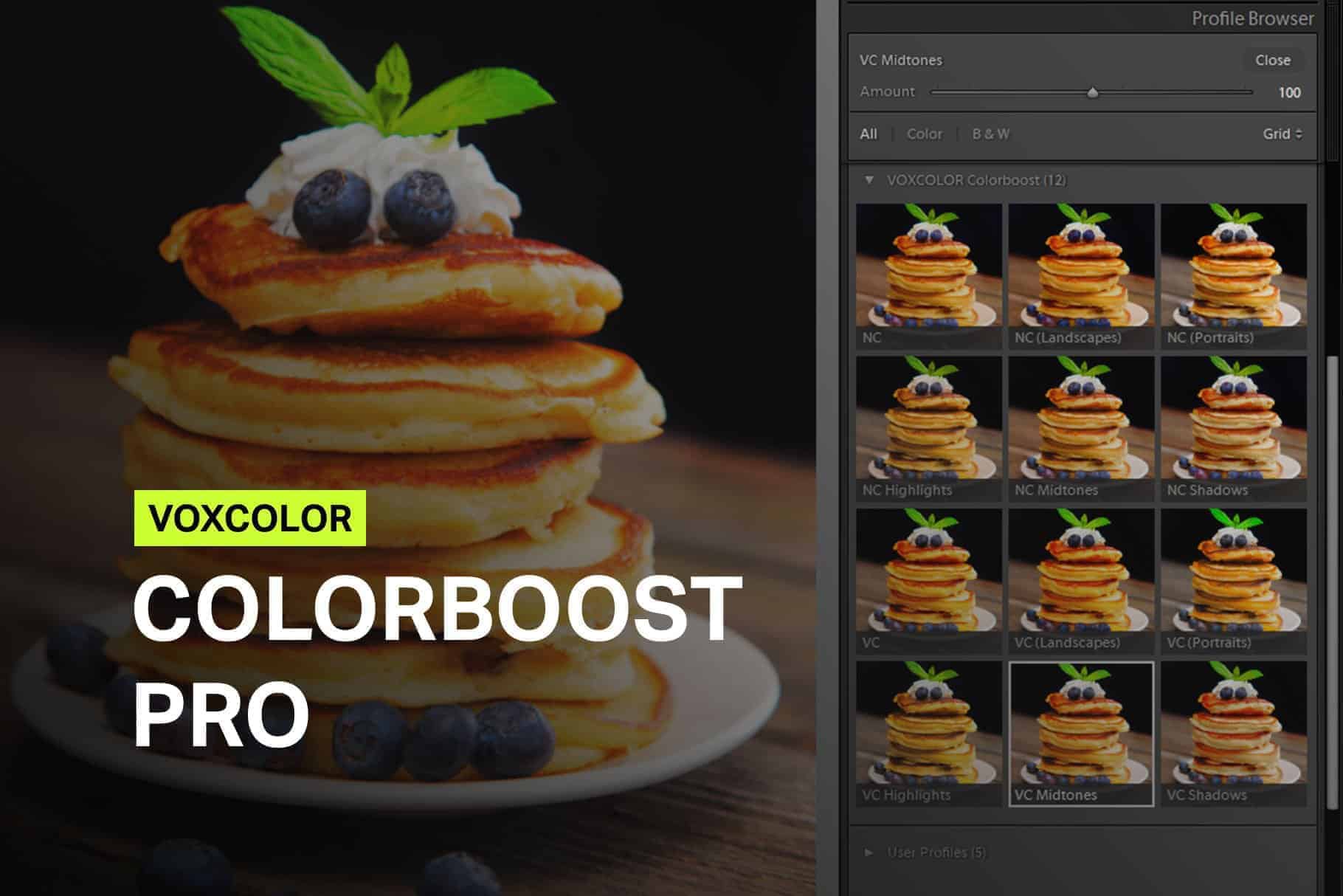 Free Colorboost Lightroom Profiles to Make Colors Pop
